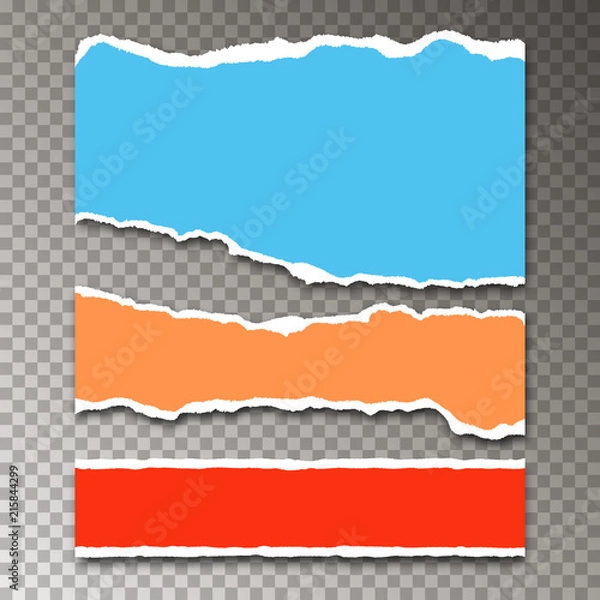 Fototapeta Pieces of color paper sheets with torn edges and shadow on transparent background 