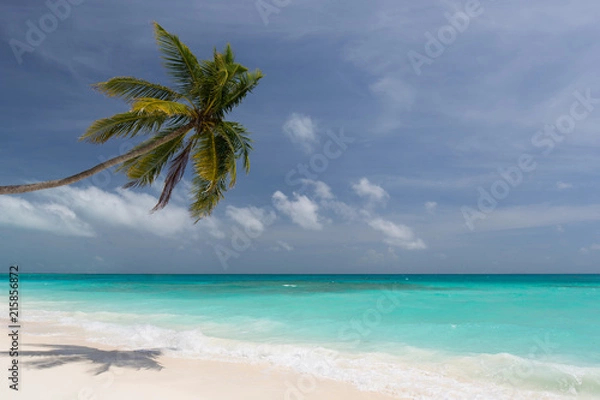 Fototapeta Lonely beach in the Caribbean on a sunny summer day with an almost cloudless sky