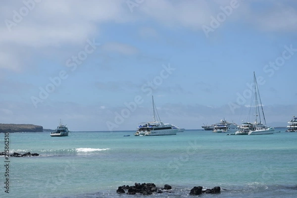 Obraz Puerto Galapagos