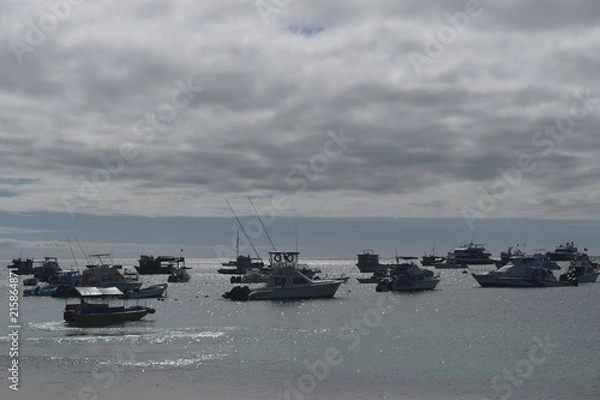 Obraz Puerto Galapagos