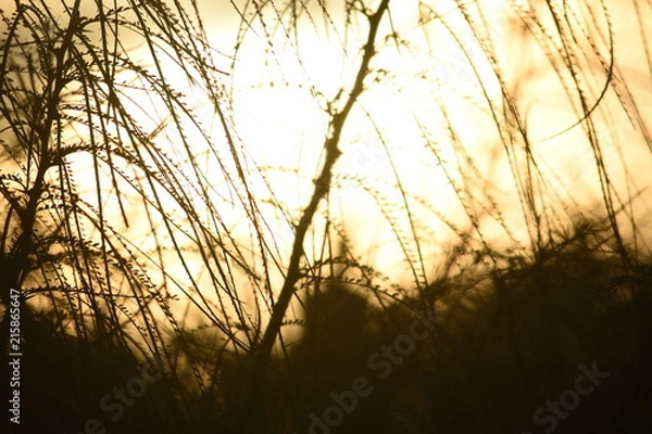 Obraz Atardecer Galapagos
