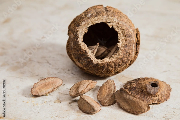 Obraz Castanha-do-Pará (Bertholletia Excelsa) nuts over a marble surface. 