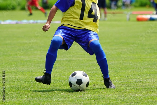 Fototapeta サッカー　フットボール