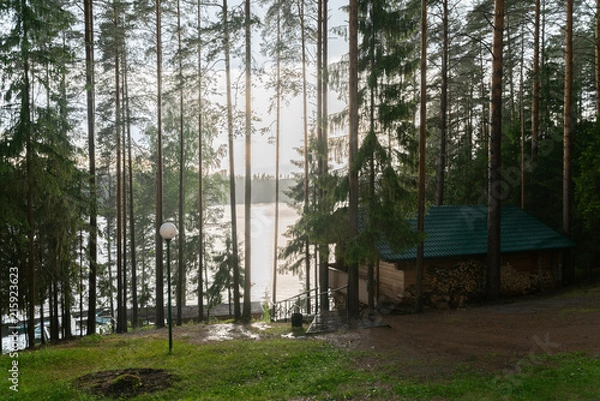 Obraz Valdai. Ecological trails of Russia. Lake Valdai