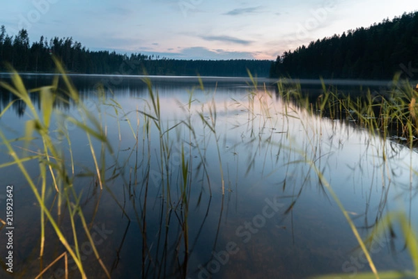 Obraz Dawn on the Uzhin Lake