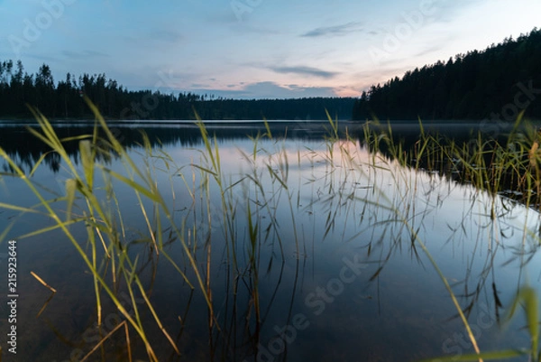 Obraz Dawn on the Uzhin Lake