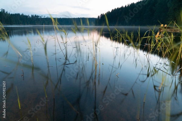 Obraz Dawn on the Uzhin Lake