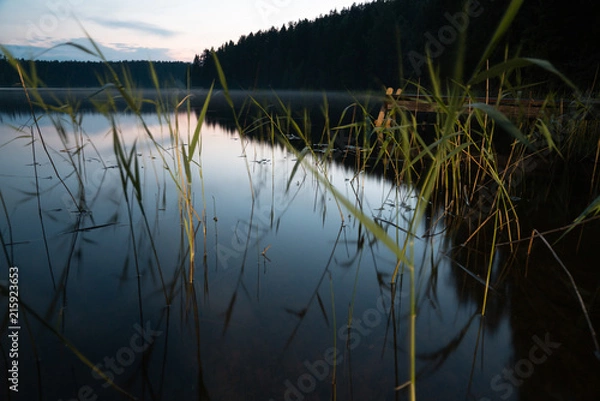 Obraz Dawn on the Uzhin Lake