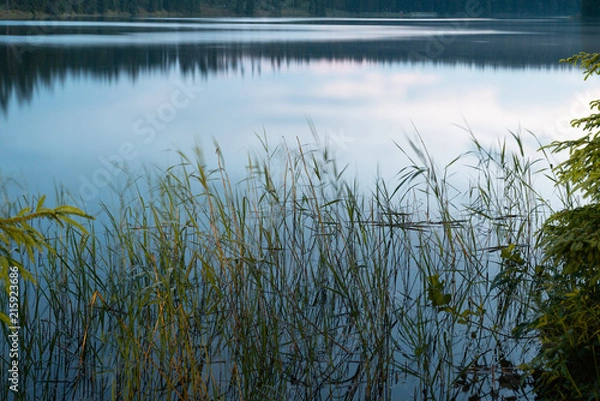 Obraz Dawn on the Uzhin Lake