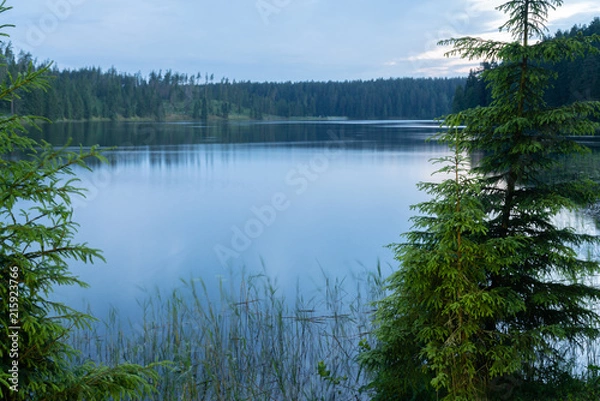 Obraz Dawn on the Uzhin Lake