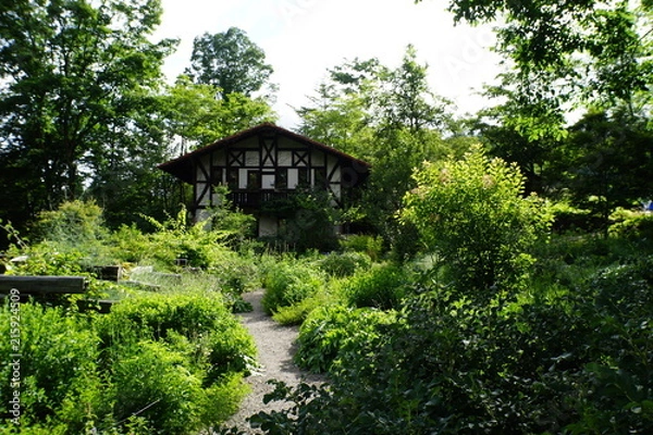 Obraz 森のコテージ　別荘　山小屋　避暑地　日本