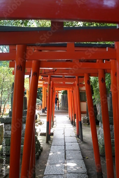 Fototapeta 鳥居　赤い鳥居　根津神社　神社　日本　東京