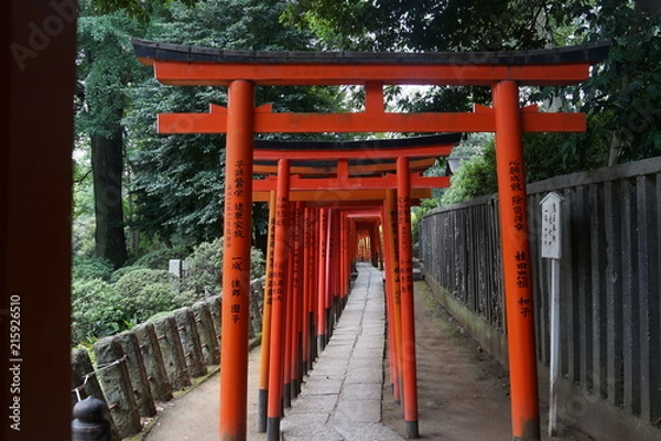 Fototapeta 鳥居　赤い鳥居　根津神社　神社　日本　東京