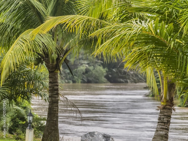 Fototapeta A telephoto image of the Khao Saming River framed by palm trees in Trat Province, eastern Thailand