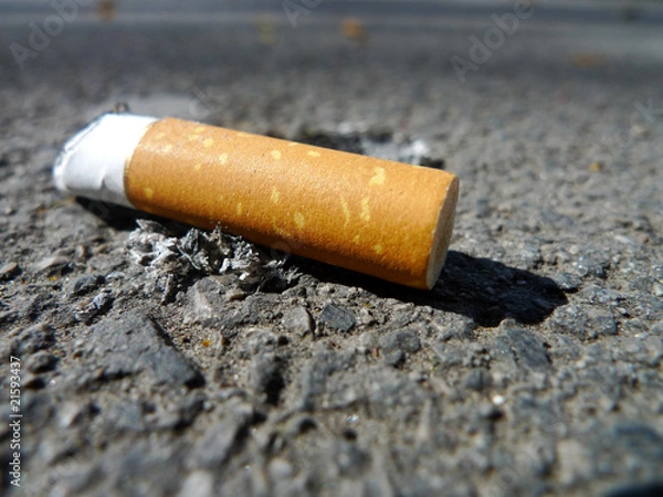 Obraz zigarettenstummel