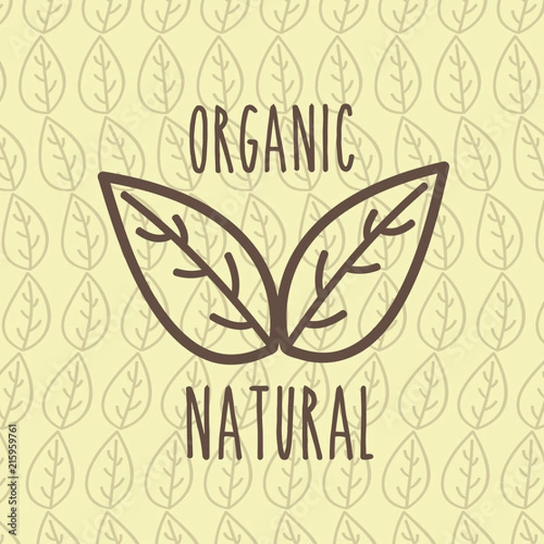 Obraz food organic nature