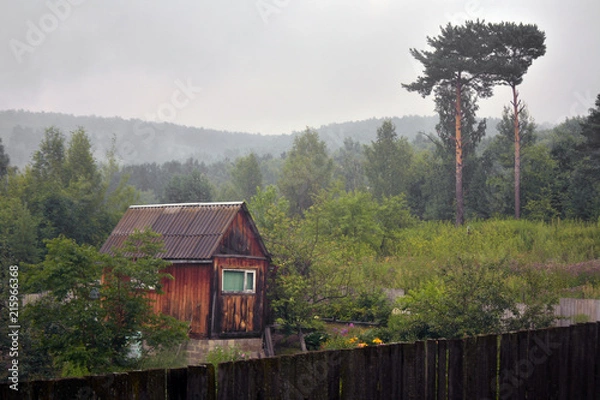 Obraz siberia forest
