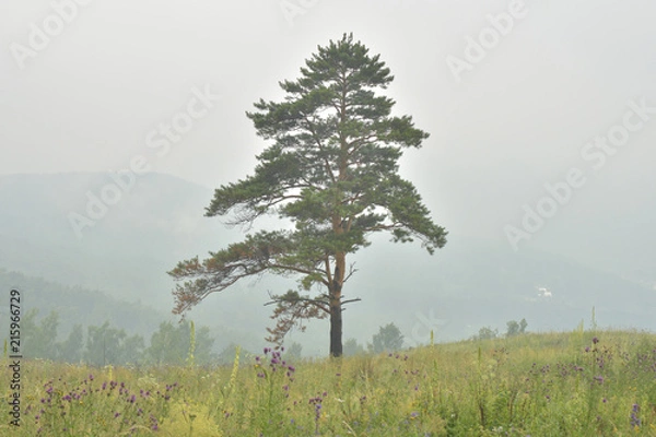 Obraz siberia landscape