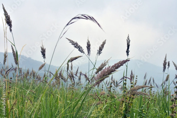 Obraz siberia landscape