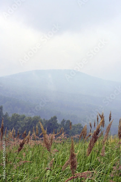 Obraz siberia landscape