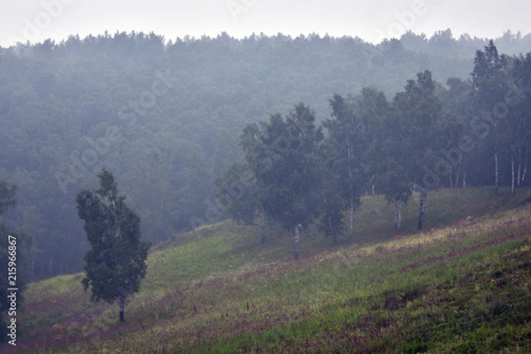 Obraz siberia landscape