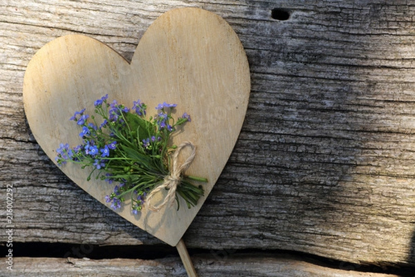 Obraz Vergissmeinnicht Hintergrund