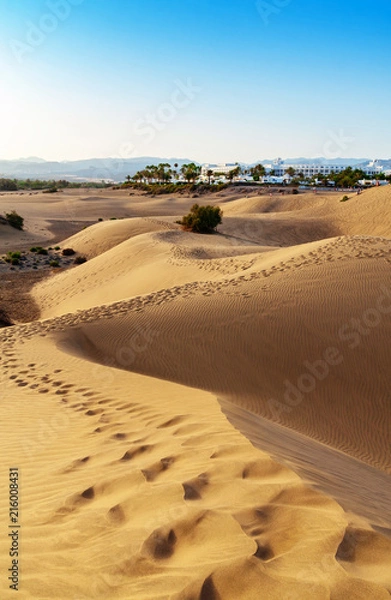 Obraz Maspalomas sand dunes