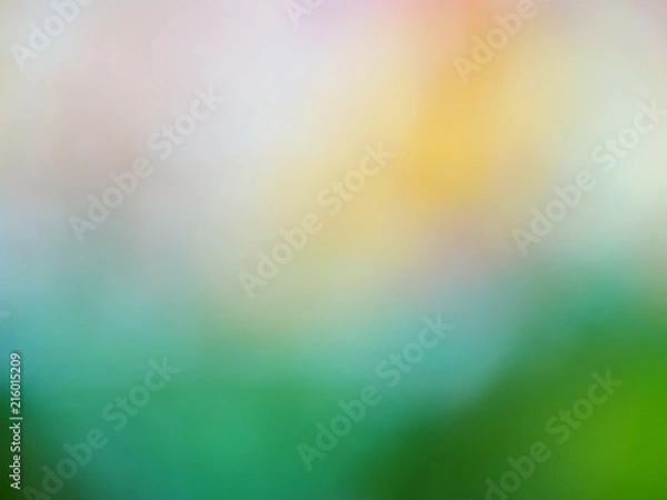 Obraz gray-yellow-green abstract background.  defocused background.