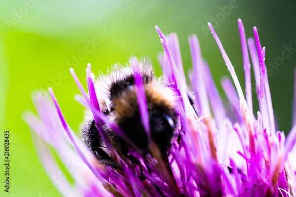 Obraz OLYMPUS DIGITAL CAMERA