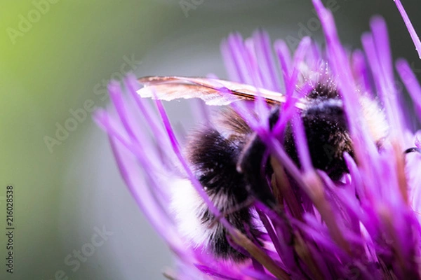 Obraz OLYMPUS DIGITAL CAMERA