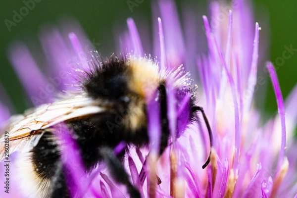 Obraz OLYMPUS DIGITAL CAMERA