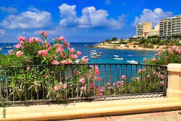 Fototapeta Colorful flowers bloom at the coast of the St Julian's, Malta