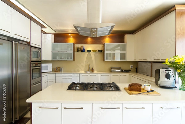 Obraz Modern kitchen