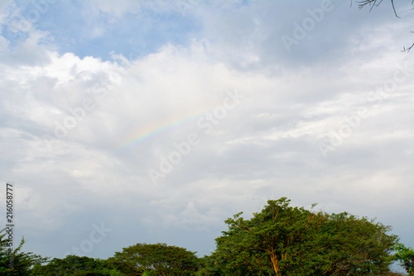 Obraz arcoiris
