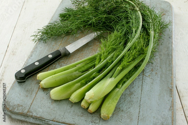 Obraz preparing baby fennel