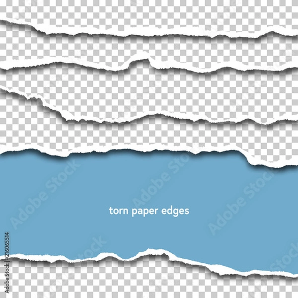Fototapeta Torn paper sheets edges with shadow on transparent background 