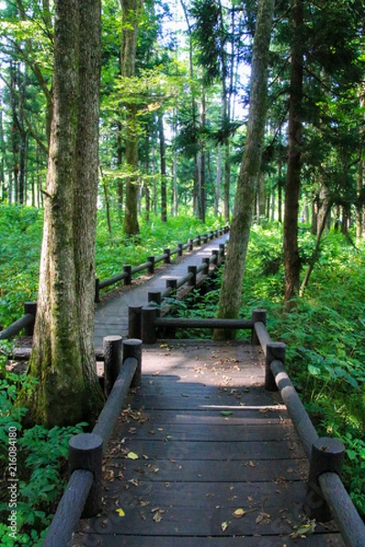 Fototapeta 姫川源流湧水