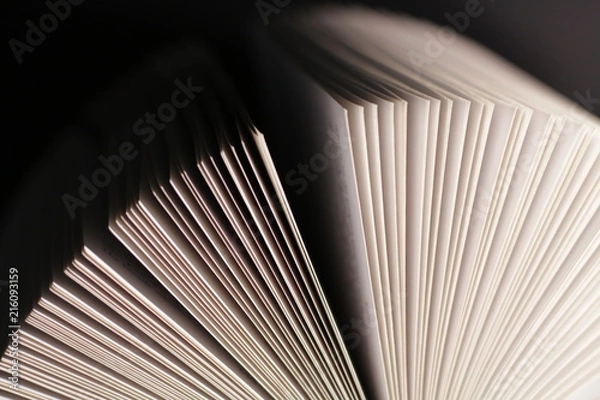 Fototapeta Pages of book abstract background
