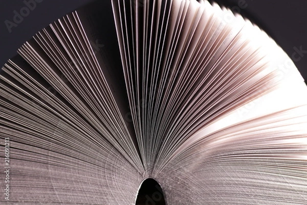 Fototapeta Pages of book abstract background