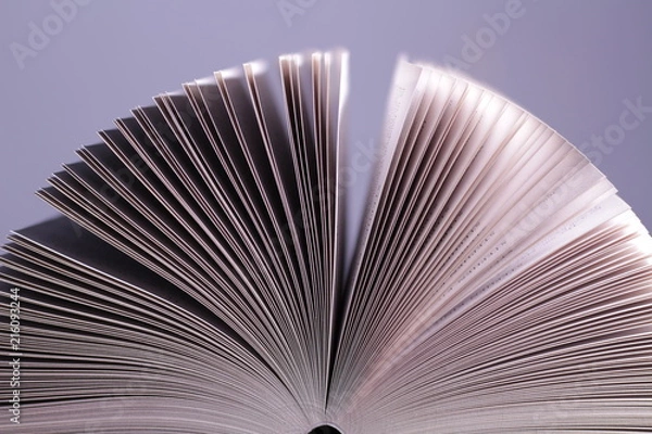 Fototapeta Pages of book abstract background
