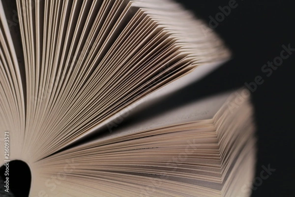 Fototapeta Pages of book abstract background