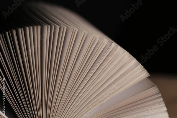 Fototapeta Pages of book abstract background
