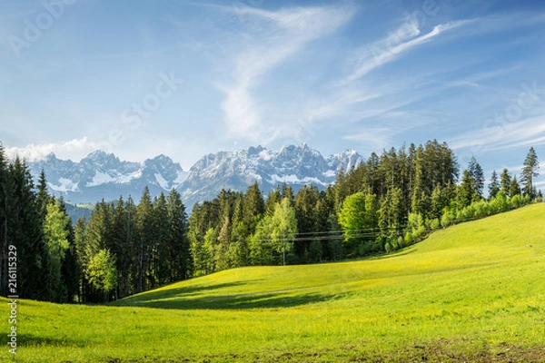 Obraz Landschaft mit Wiese und Wilder Kaiser Gebirge im Hintergrund