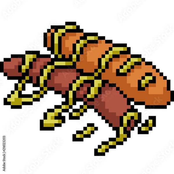 Obraz vector pixel art sausage set