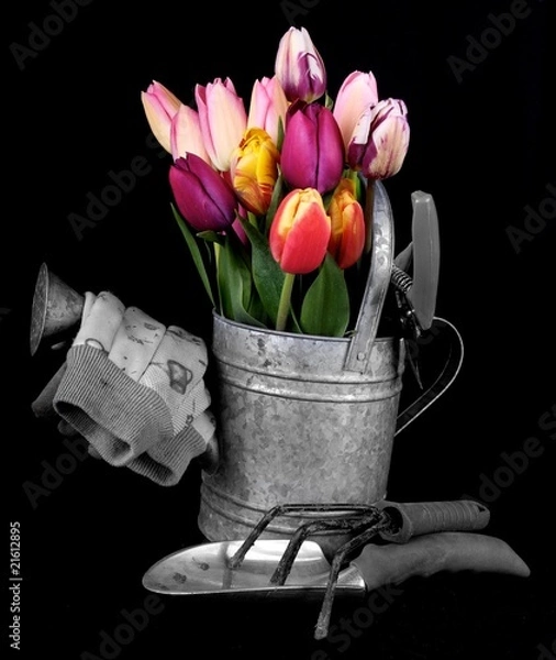 Obraz two tone garden tools and Tulips