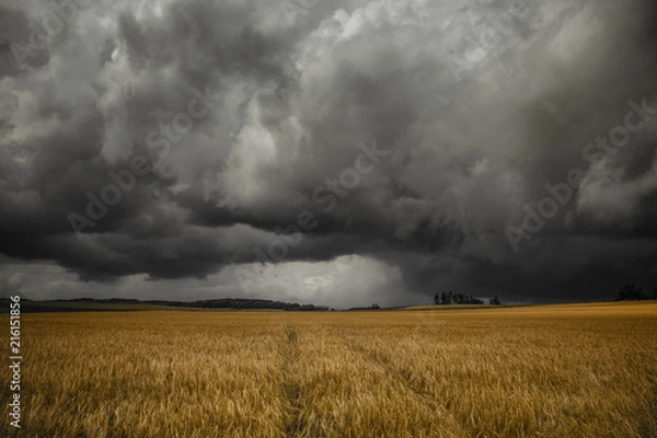 Obraz Burza z przodu