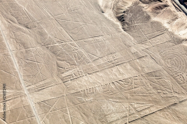 Obraz  Nazca lines