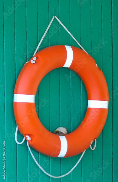Fototapeta An orange life buoy on a green wooden wall
