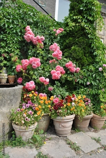 Obraz Kwiaty w donicach