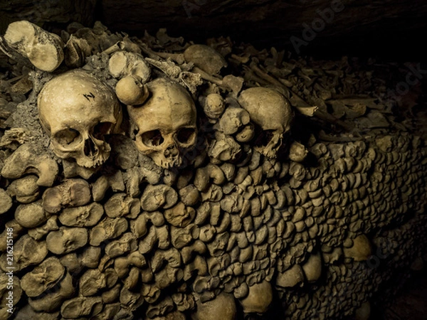 Fototapeta OLYMPUS DIGITAL CAMERA